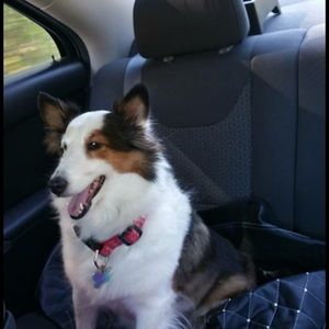 Meet your Posher, Rhonda